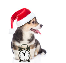 Corgi puppy in red christmas hat sitting with alarm clock and looking away. isolated on white background