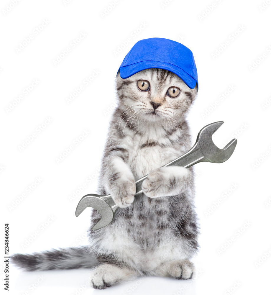 Poster funny kitten worker in blue cap with wrench. isolated on white background