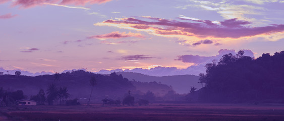 Summer meadow at sunset in asian village. .Rural Asian landscapes at sunrise with palm trees. Langkawi island, Malaysia.