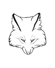 Fototapeta premium Fox 