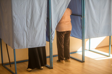 Persons voting in booths at a polling station