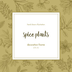 Flower frame design. hand painted illustration. Vintage sketchy style plants. . Vector illustration