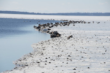 Spring in Varnamo