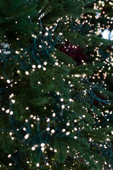 Christmas decoration