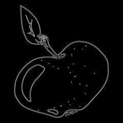 Apple on a black background. Apple with a leaf. Vector illustration.