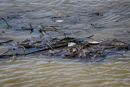 Garbage in river, pollution