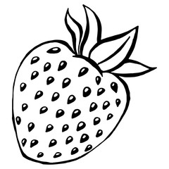 Strawberry. Vector illustration of an icon, logo a strawberry . Hand drawn strawberry.