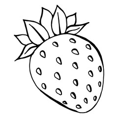Strawberry. Vector illustration of an icon, logo a strawberry . Hand drawn strawberry.