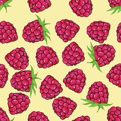 Seamless pattern from raspberry. Vector of a seamless  pattern raspberry. Hand drawn raspberries.