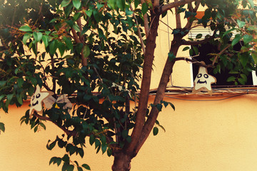 HOLA! © MONS GUERRERO