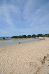 tropical beach with white sand 