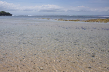 beach and sea at low tide