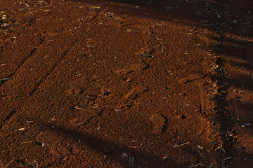Red earth, walking together 