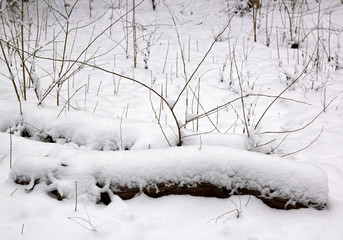 Sous la neige (campagne en île de France, près de Paris France)