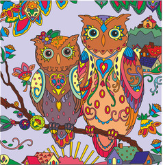 owls