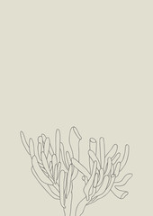 Graphic print of Crassula. Poster in Scandinavian style