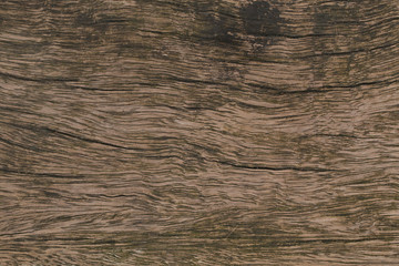 Fototapeta premium Old Wooden panel texture for background, vintage texture style