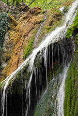 Obraz premium waterfall in the forest