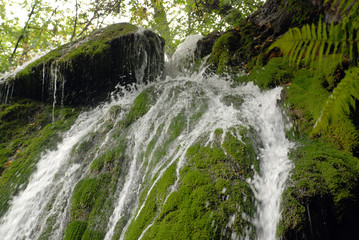 Fototapeta premium waterfall in forest
