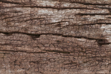 Old Wooden panel texture for background, vintage texture style