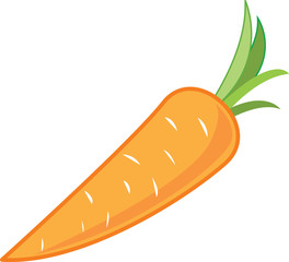 Vecror cartoon style ripe carrot.