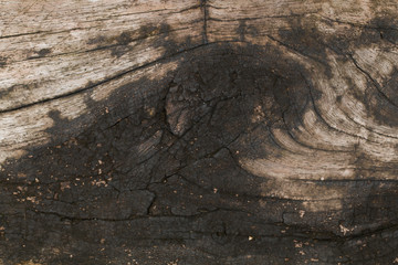 Old Wooden panel texture for background, vintage texture style