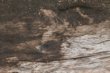 Old Wooden panel texture for background, vintage texture style