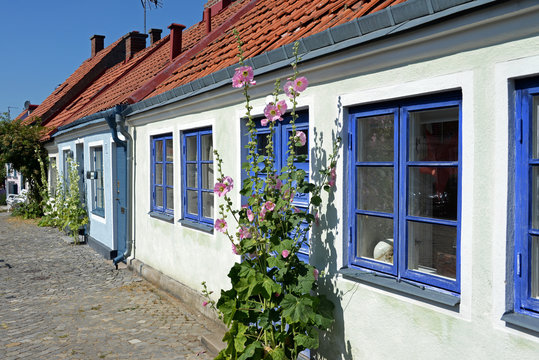 Stockrosen in der Altstadt von Simrishamn S&uuml;dschweden