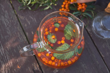 Autumn still life with Hippophae rhamnoides, Hippophae, Sea buckthorn. Nice medicinal berries grow on bushes. Medicinal and ornamental plant.