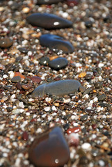stones on the beach