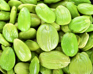 Bitter bean isolated