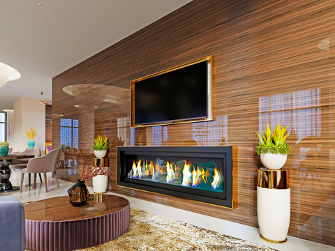 Luxury Designer Lobby Hotel With A Fireplace And A TV Set Built Into A Glossy Wooden Wall With A Pot On The Sides.