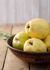 Quince on a dark background.