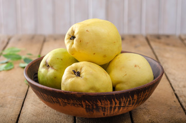 Quince on a dark background.