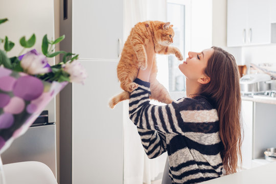 Young woman playing with cat in kitchen at home. Girl holding and red raising cat