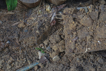 Leaked poly pipes are being repaired