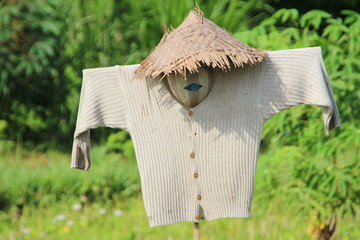 Vogelscheuche