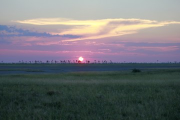 Botswana Tiere Natur Afrika