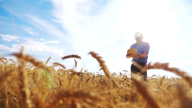 old farmer man silhouette baker holds a golden bread and loaf in ripe wheat field against the blue sky. slow motion video. successful agriculturist in field of wheat. harvest time. old man baker bread