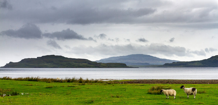 isle of mull scotalnd