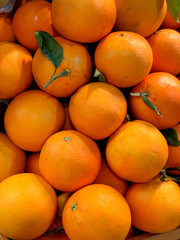 Valenciaian oranges on sale in the Mercado Central (food market), Alicante, Spain, Europe