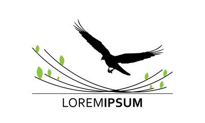 Flying Raven Bird Logo Identity