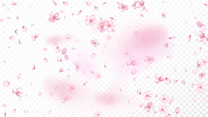 Nice Sakura Blossom Isolated Vector. Beautiful Blowing 3d Petals Wedding Design. Japanese Nature Flowers Illustration. Valentine, Mother's Day Tender Nice Sakura Blossom Isolated on White © graficanto