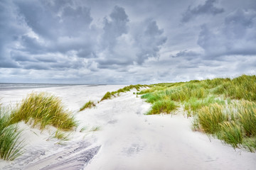 Fototapeta na wymiar Sanddünen an der Nordsee mit weißem Sand bei stürmischem Wetter