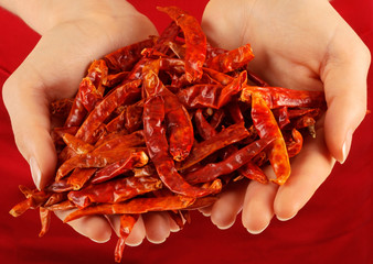 WOMAN HOLDING DRIED CHILLI
