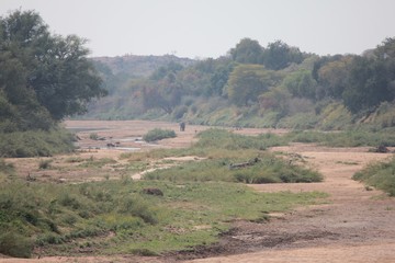Fototapeta premium Afrika Botswana Natur Tiere