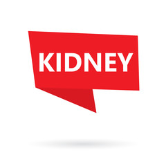 kidney word on a sticker- vector illustration