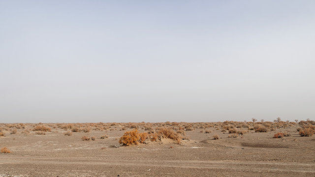 Landscape of wild desert in Northwest China.