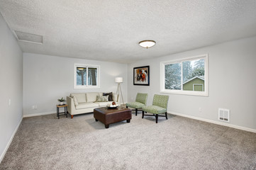 Light grey living area with green chairs and leather ottoman
