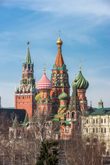 Fototapeta premium Zaryadye Park landscape. Pine grove and Saint Basil's Cathedral in early spring sunny day.